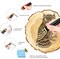 Wood Burning Kit,Wood Burning Tool,Wood Burner Tool,Wood Burning Tips,Pyrography Kit, Wood Burning kit for Beginners,Wood Burning kit for Kids,Reminder for Australian Users, USE Voltage 110~127V